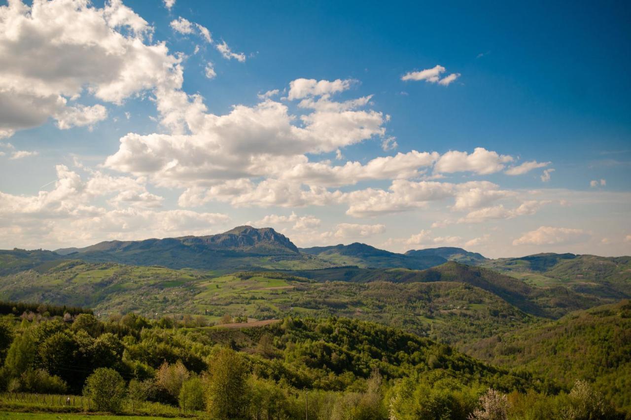 Vila Angelina Kusici Экстерьер фото