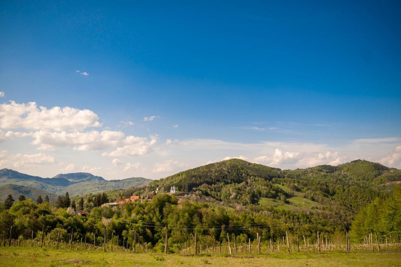 Vila Angelina Kusici Экстерьер фото
